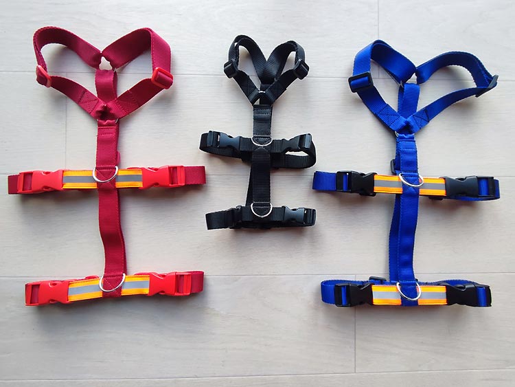 Handgemaakte Hondenveiligheidstuigjes